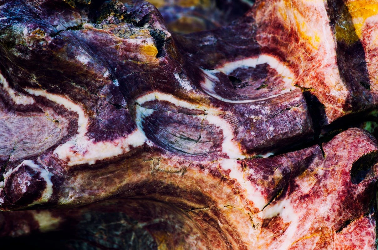 Exemple réel de motif Flamme