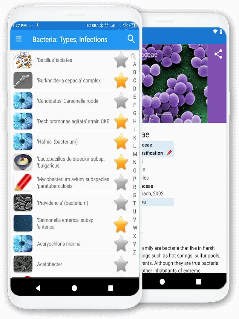 Screenshot for the app: Bacteria: Definition, Types & Infections
