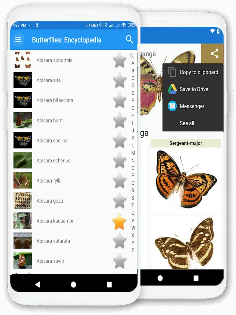 Screenshot for the app: Butterflies: Encyclopedia. Photo,  Offline