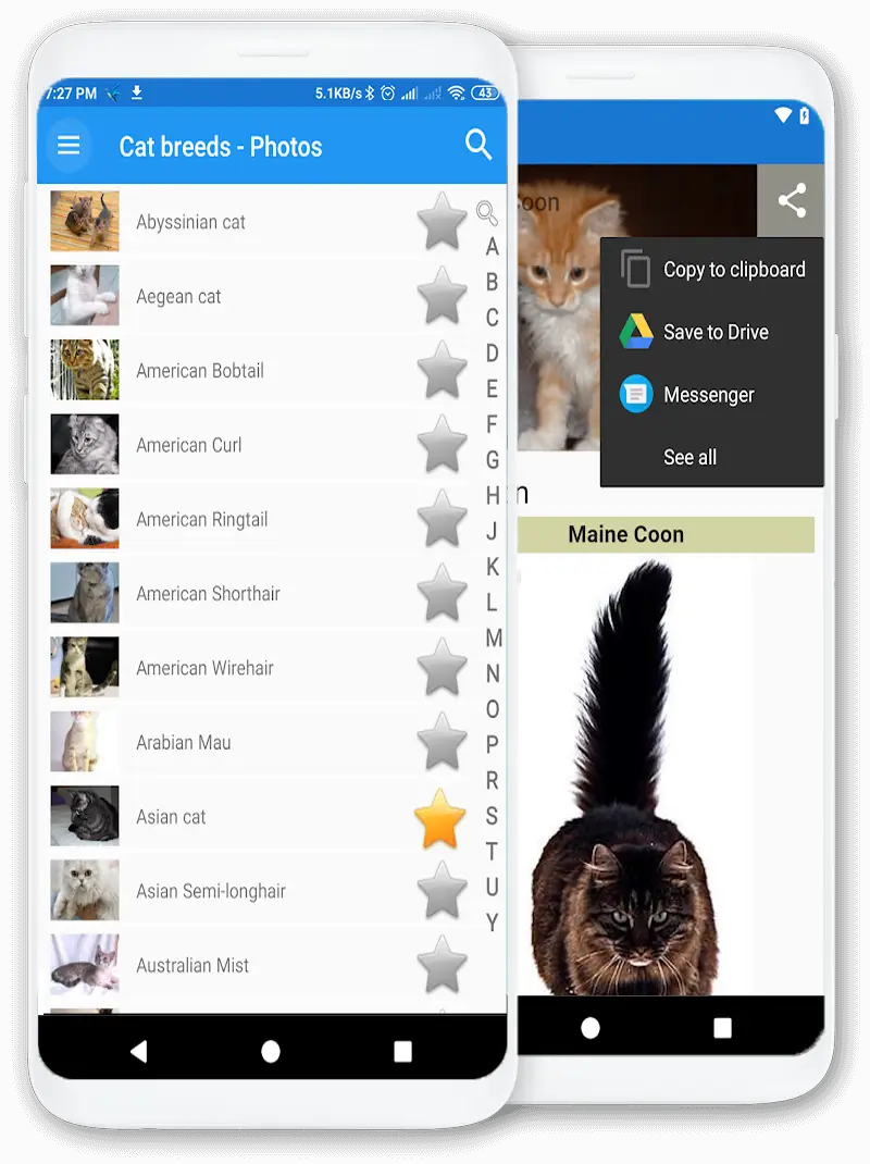 Zrzut ekranu aplikacji: Rasy kotów - Zdjęcia