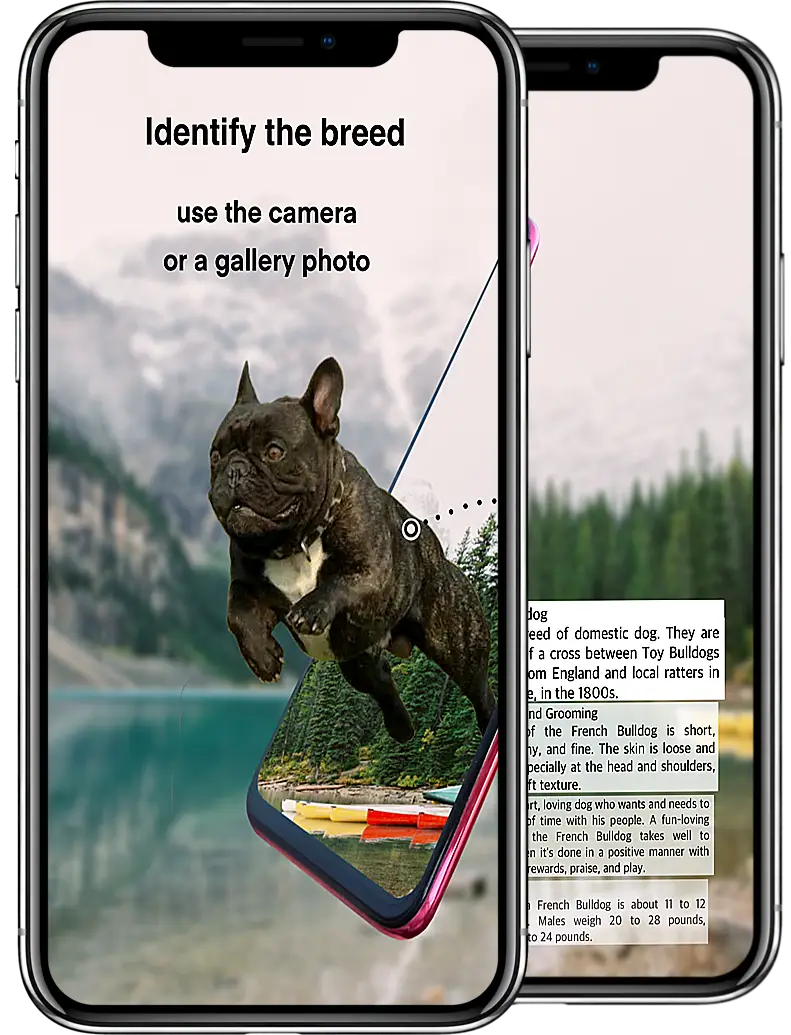 Screenshot for the app: Dog breeds - Photos