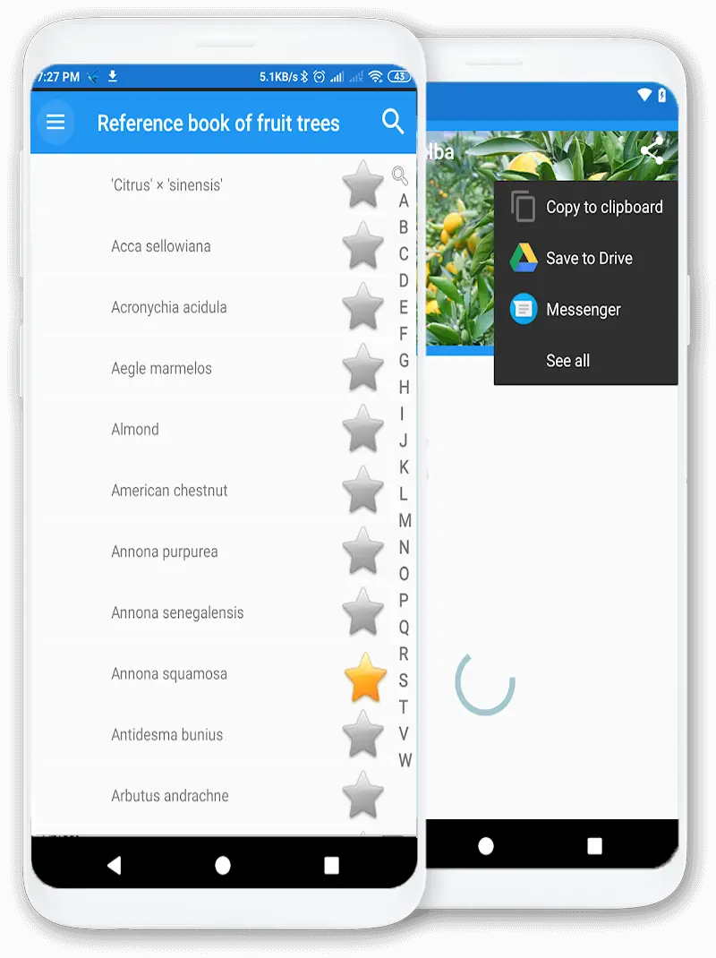 Captura de ecrã da aplicação: Livro de referência de árvores frutíferas
