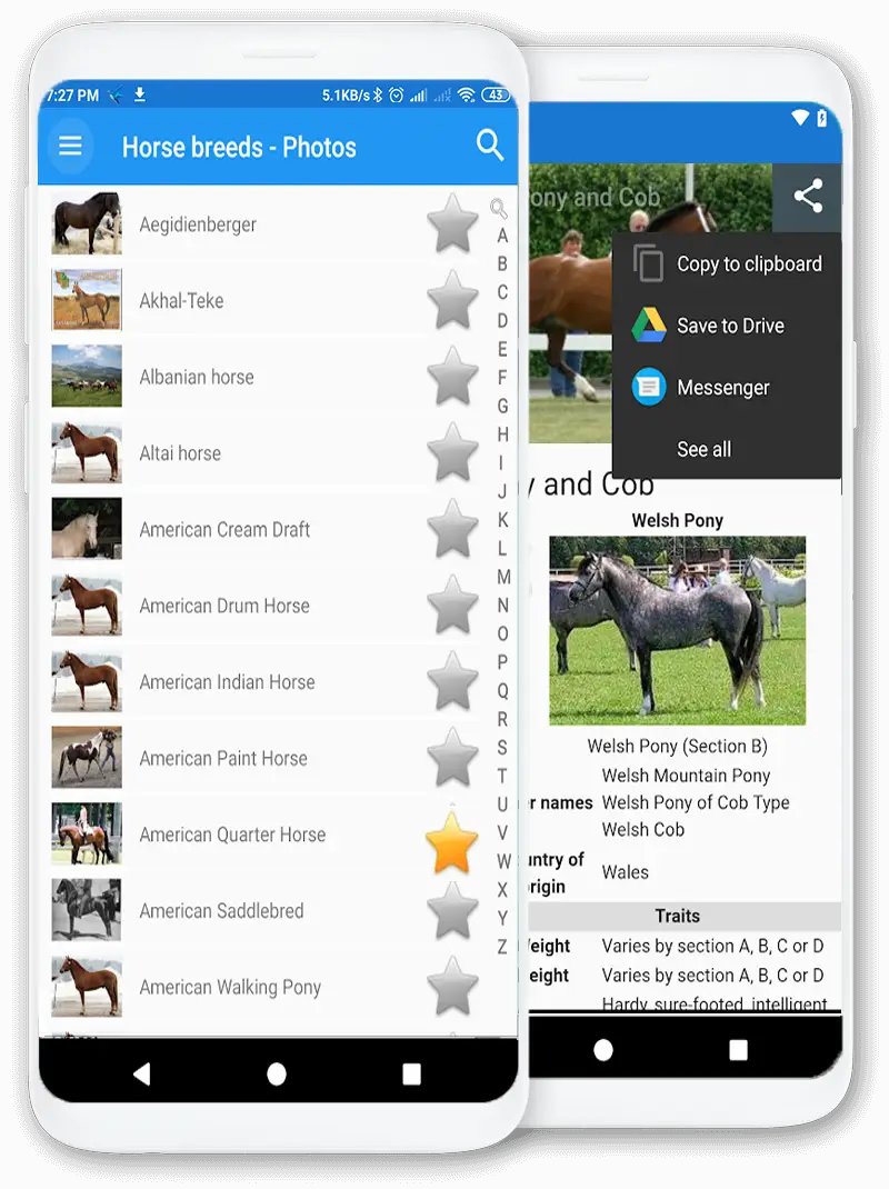 Screenshot for the app: Horse breeds - Photos