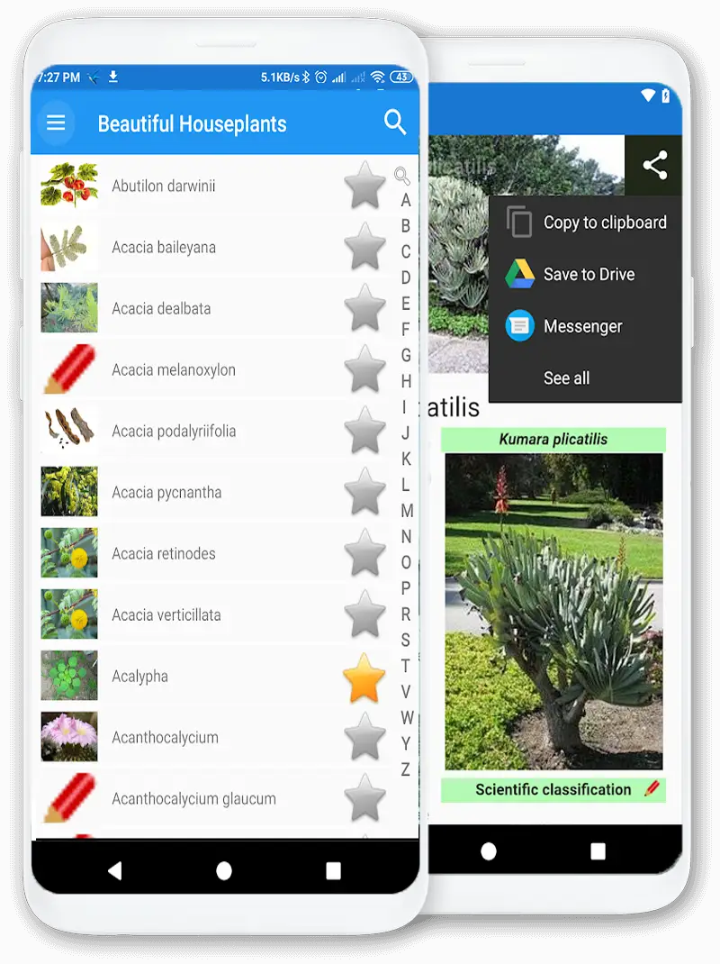 Screenshot for the app: Beautiful Houseplants