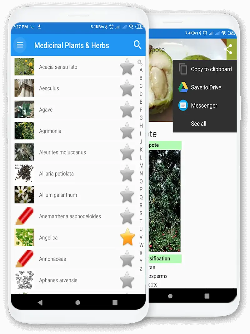 Skärmdump för appen: Medicinska växter & örter