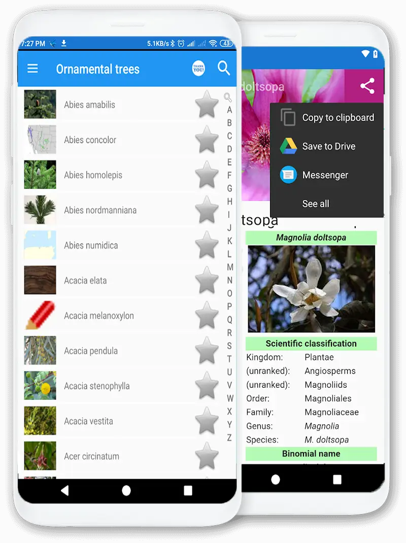 Screenshot for the app: Ornamental trees