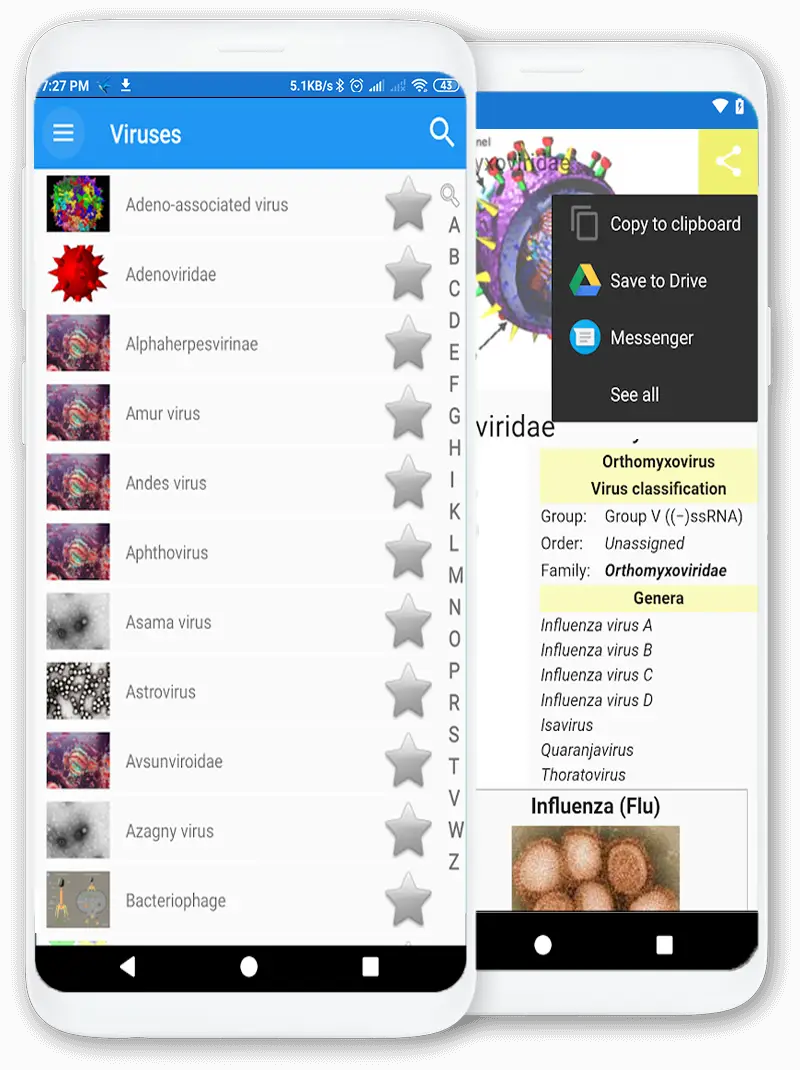 Screenshot for the app: Viruses