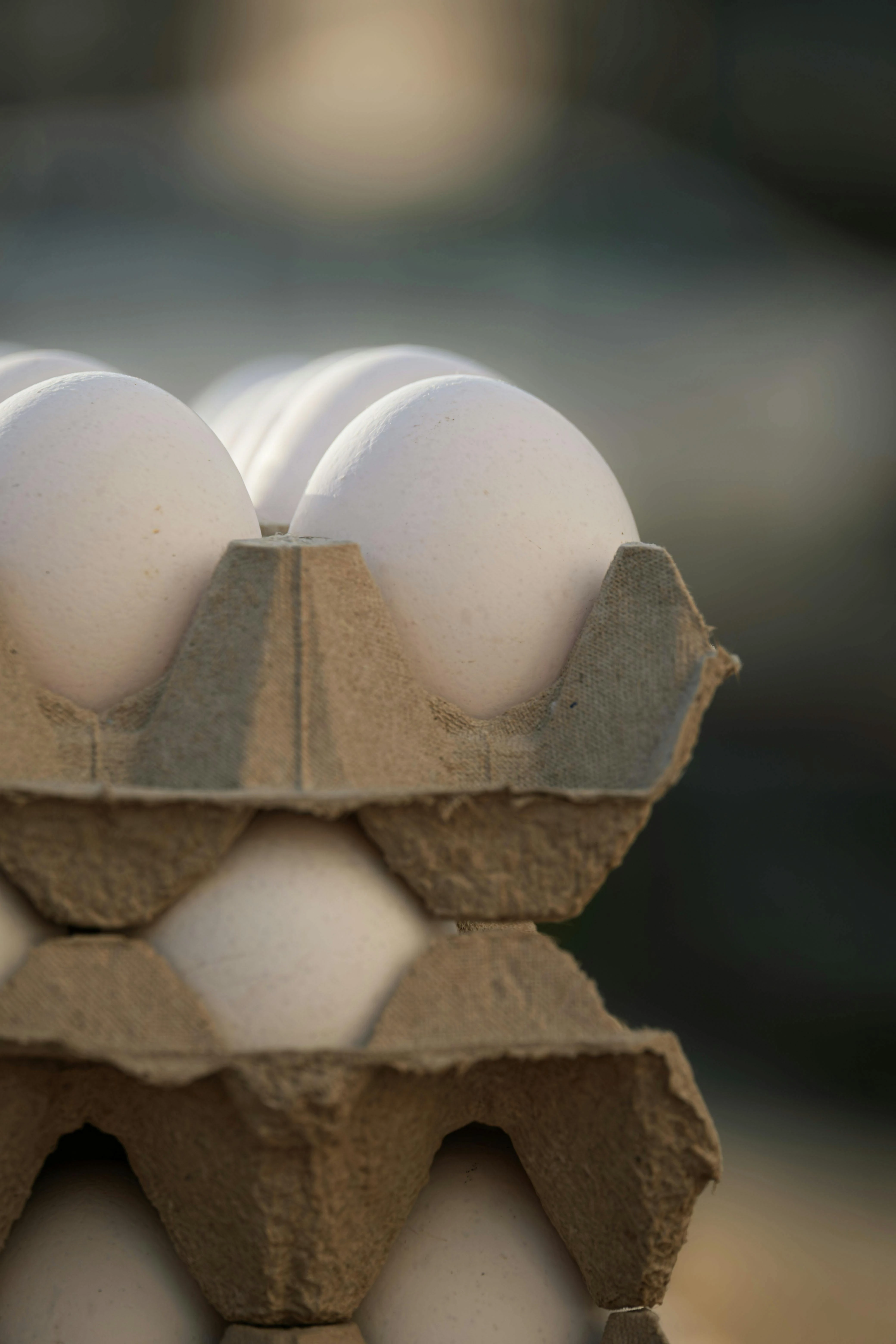 Färska bruna ägg som kan orsaka en allergisk reaktion och allergi mot ägg